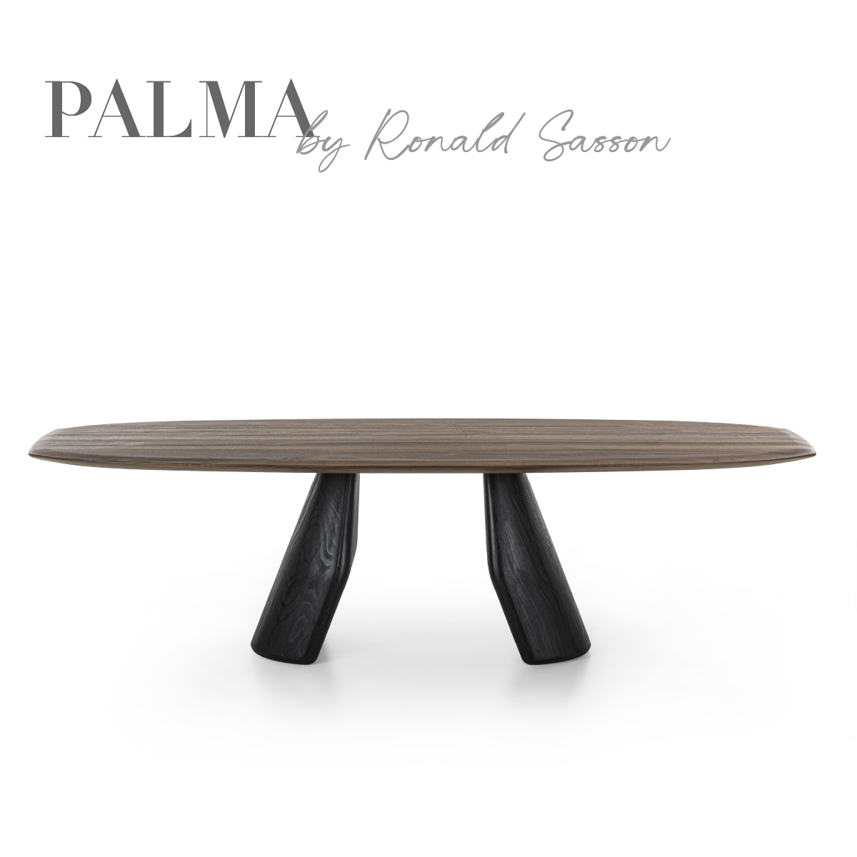PALMA, by Ronald Sasson